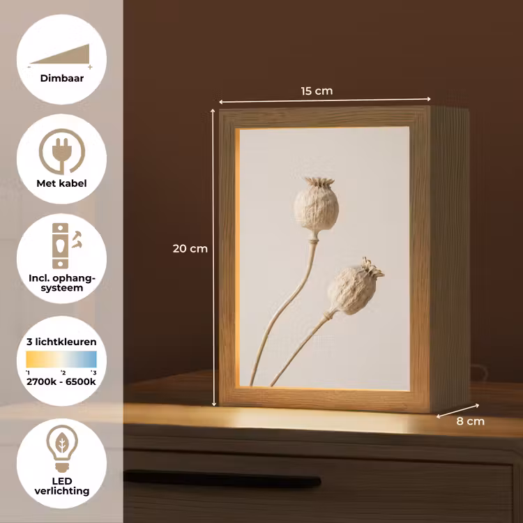 Papaverbollen - Droogbloemen - Minimalistisch - Beige - Rustig Light Box met kabel (Tafellamp) klein -USP_NL