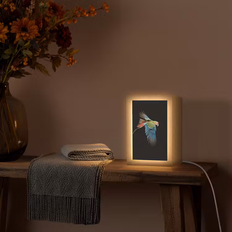 Papegaai - Kleurrijk - Vleugels - Sierlijk Light Box met kabel (Tafellamp) klein -sfeer4