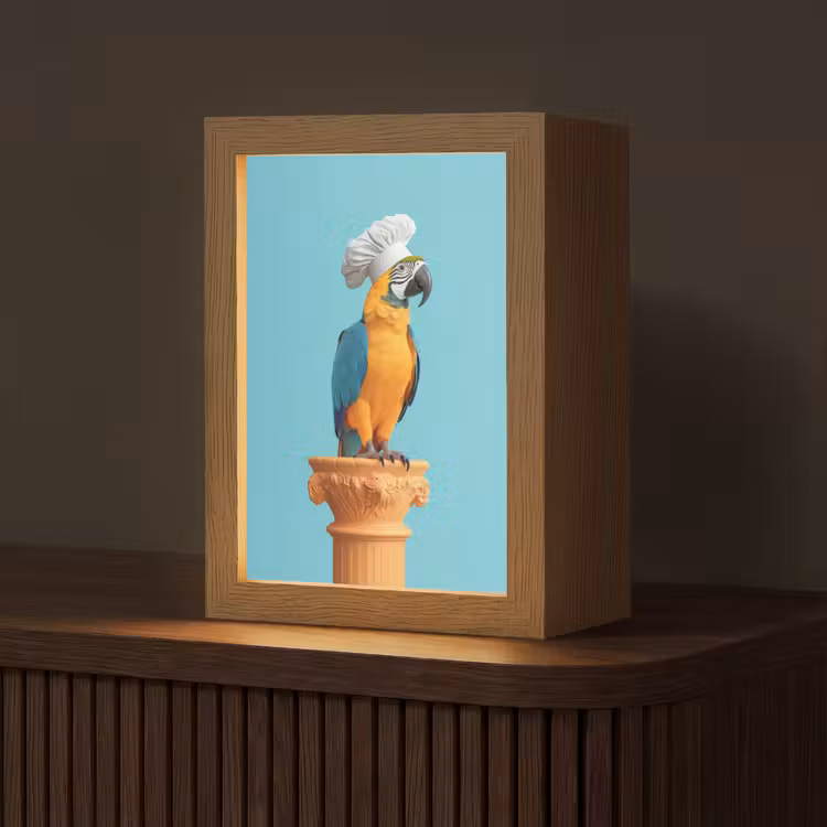 Papegaai - Koksmuts - Grappig - Vogel Light Box met kabel (Tafellamp) klein -z3d_website