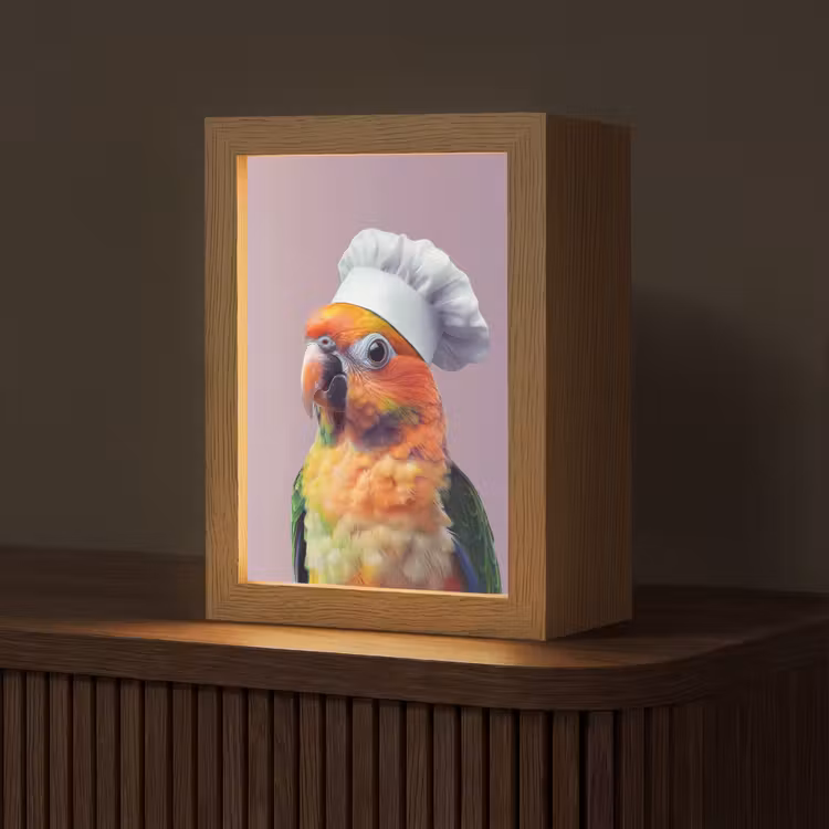 Papegaai - Koksmuts - Nieuwsgierig - Vogel Light Box met kabel (Tafellamp) klein -z3d_website