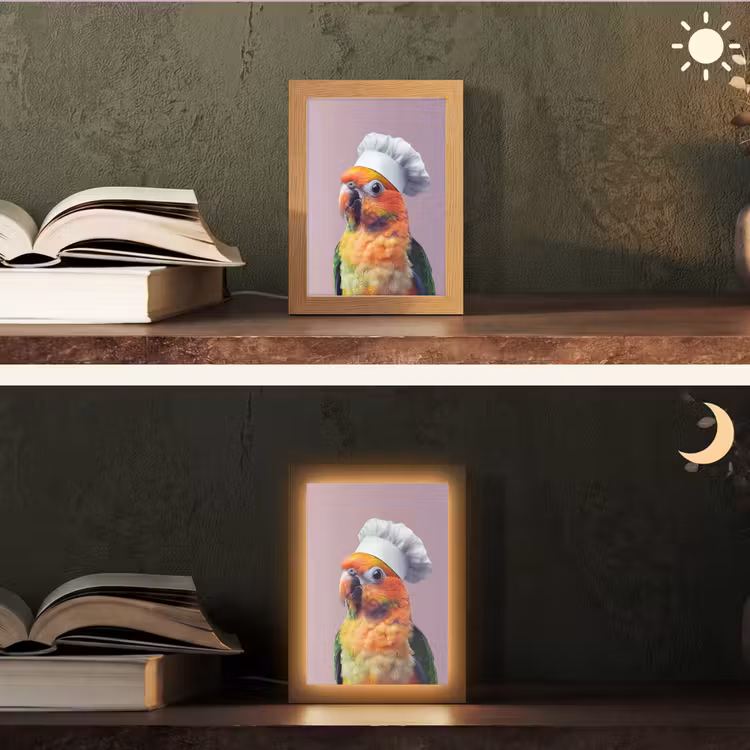 Papegaai - Koksmuts - Nieuwsgierig - Vogel Light Box met kabel (Tafellamp) klein -sfeer3