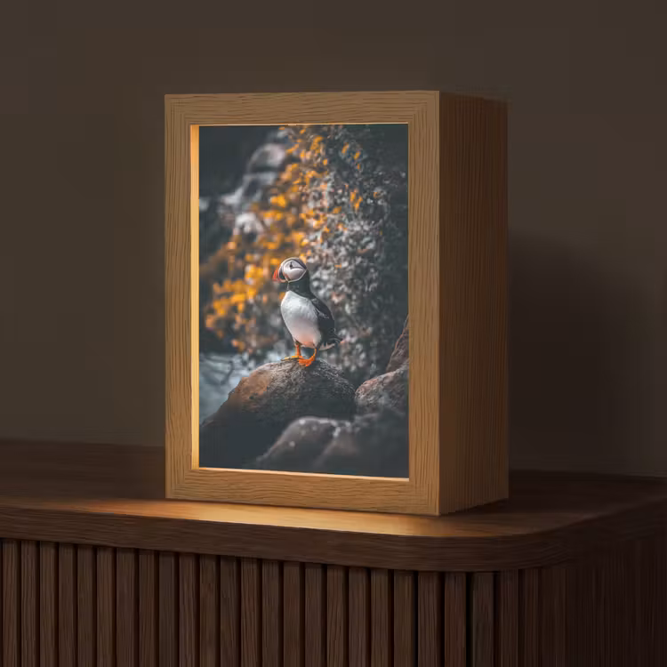 Papegaai - Vogel - Rots - Wit Light Box met kabel (Tafellamp) klein -z3d_website