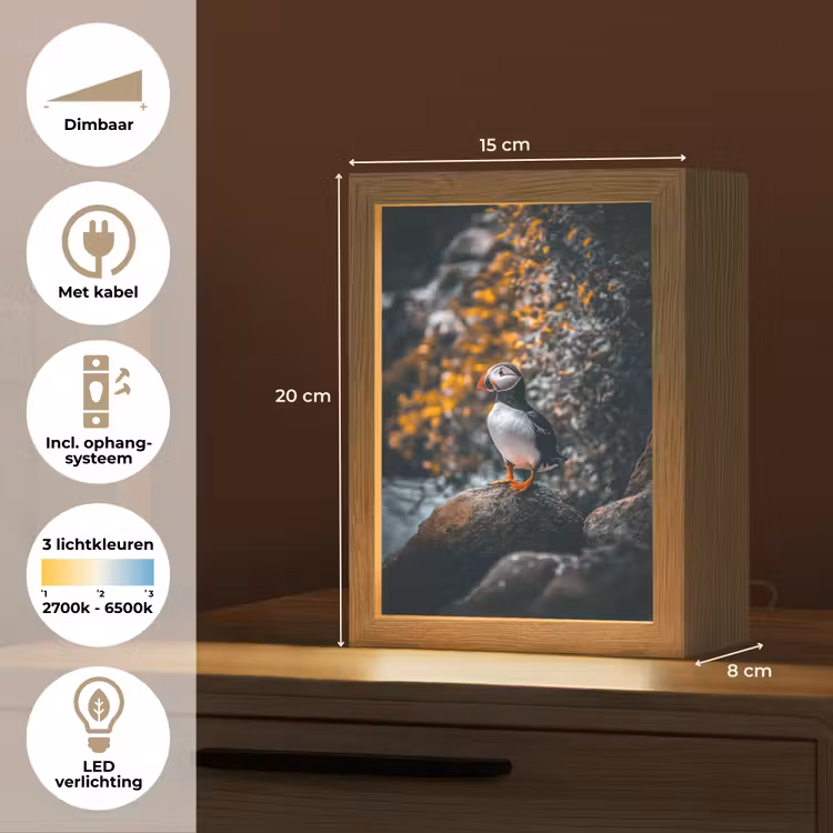 Papegaai - Vogel - Rots - Wit Light Box met kabel (Tafellamp) klein -USP_NL