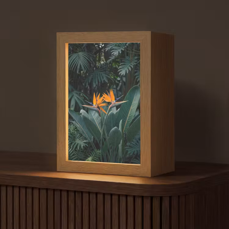 Paradijsvogel - Bloem - Exotisch Light Box met kabel (Tafellamp) klein -z3d_website