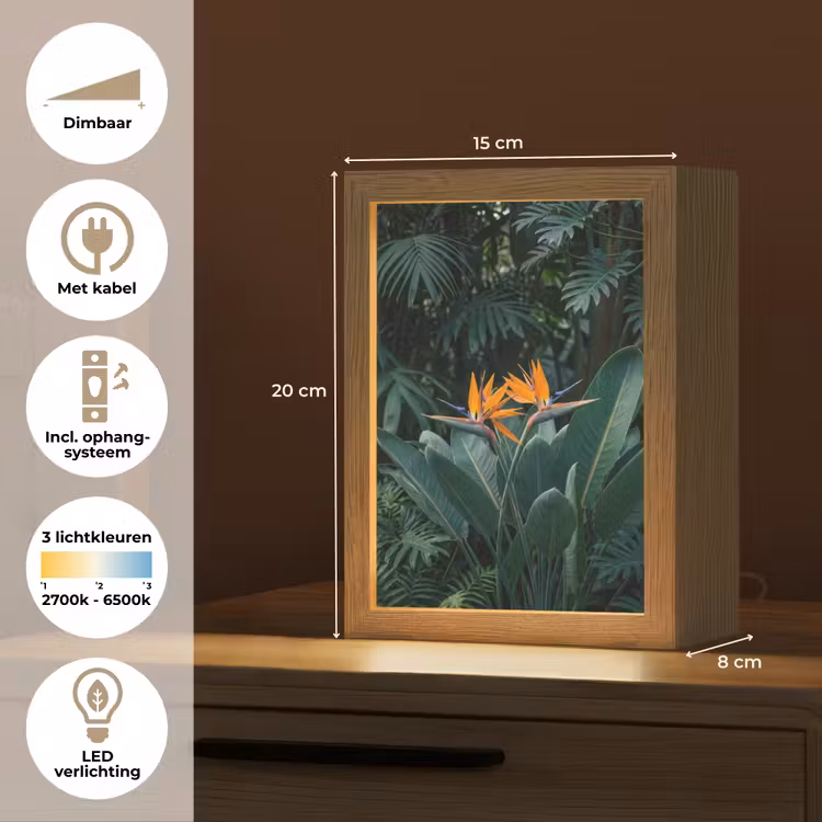Paradijsvogel - Bloem - Exotisch Light Box met kabel (Tafellamp) klein -USP_NL