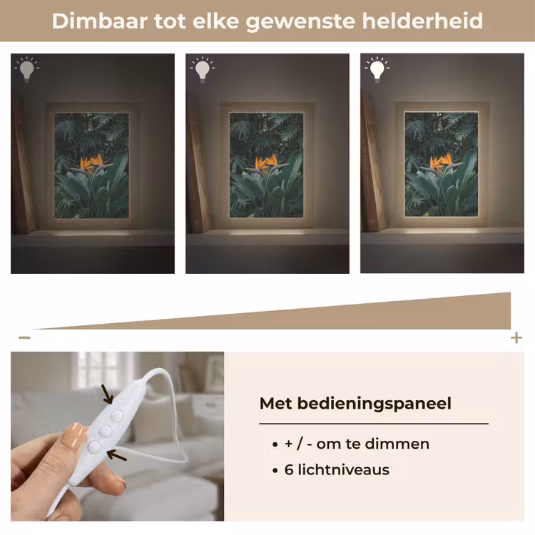 Paradijsvogel - Bloem - Exotisch Light Box met kabel (Tafellamp) klein -USP_dimbaarNL