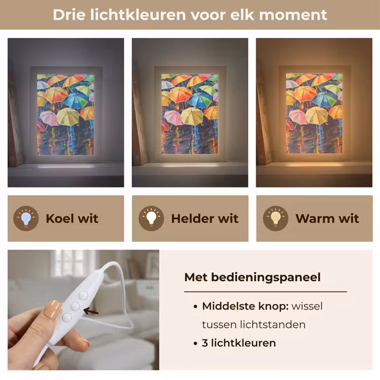 Paraplu's - Schilderij - Kunst - Regenboog Light Box met kabel (Tafellamp) klein -USP_lichtkleurNL