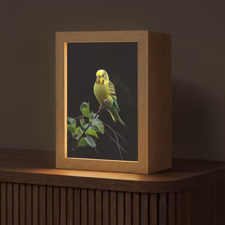 Parkiet - Tak - Bladeren - Geel Light Box met kabel (Tafellamp) klein -z3d_website