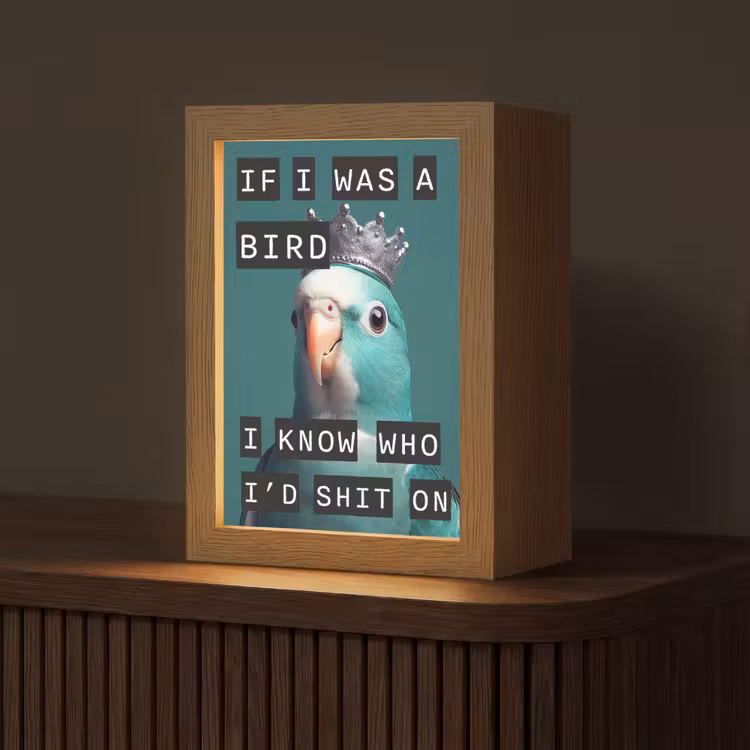 Parkiet - Turquoise - Quotes - Decoratie Light Box met kabel (Tafellamp) klein -z3d_website