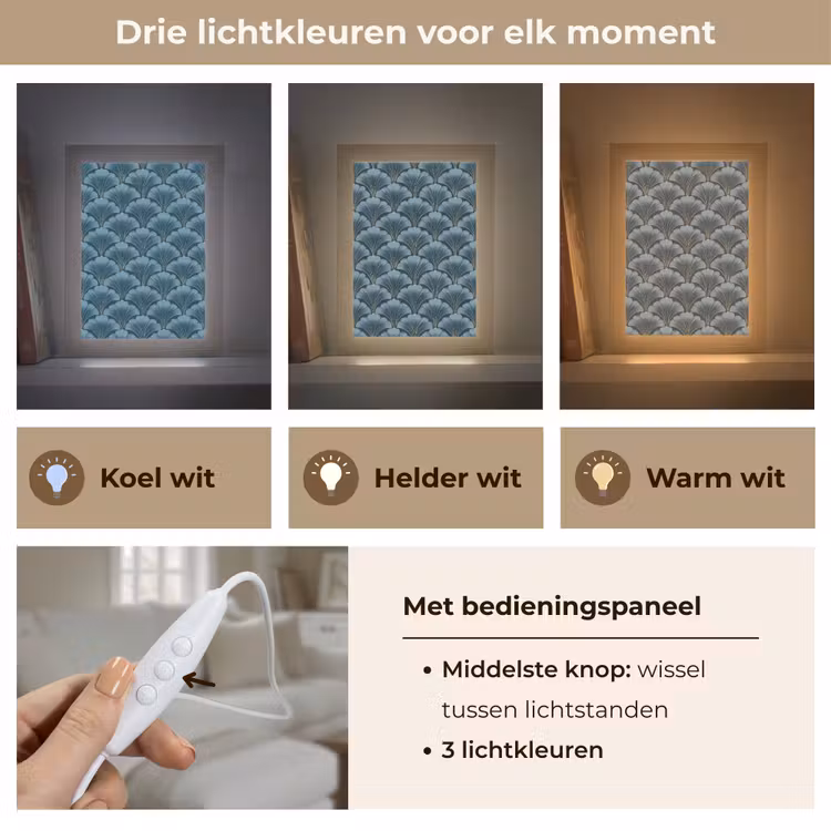 Patroon - Ginkgoblad - Blauw Light Box met kabel (Tafellamp) klein 925 -USP_lichtkleurNL