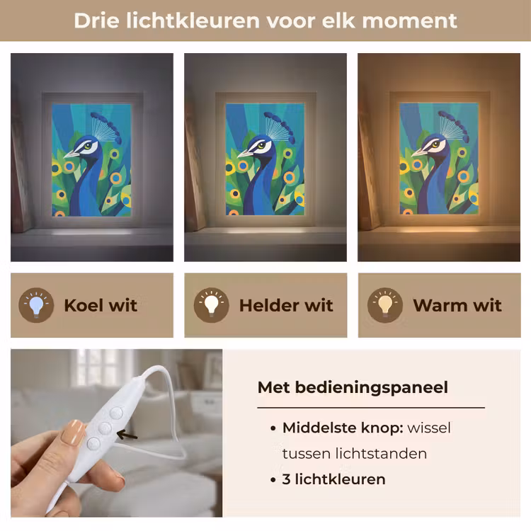 Pauw - Cirkels - Blauw Light Box met kabel (Tafellamp) klein -USP_lichtkleurNL
