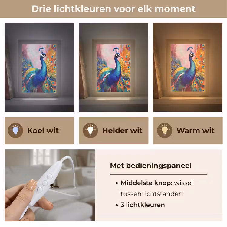 Pauw - Dieren - Schilderij - Regenboog Light Box met kabel (Tafellamp) klein -USP_lichtkleurNL