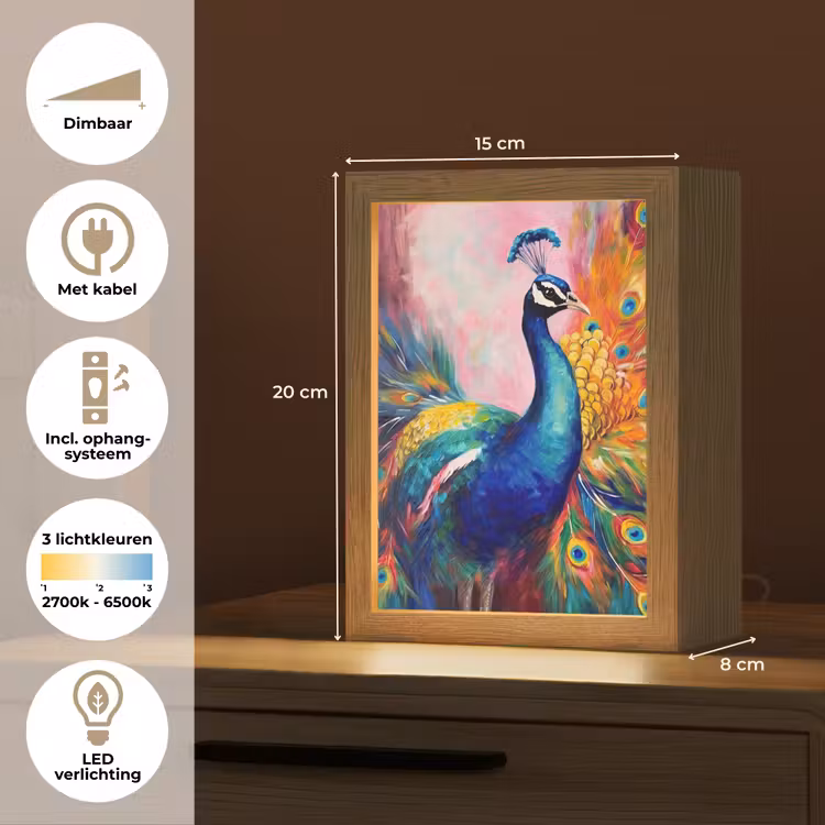 Pauw - Dieren - Schilderij - Regenboog Light Box met kabel (Tafellamp) klein -USP_NL