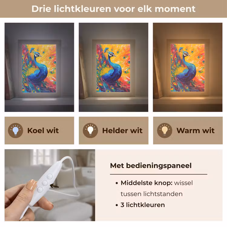 Pauw - Kunst - Schilderij - Pauwenveren Light Box met kabel (Tafellamp) klein -USP_lichtkleurNL