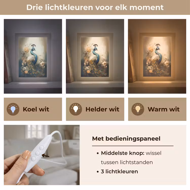 Pauw - Pauwenveren - Bloemen - Vogels - Botanisch Light Box met kabel (Tafellamp) klein -USP_lichtkleurNL