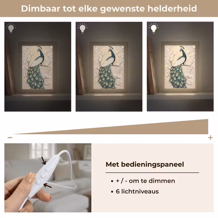 Pauw - Tak - Bloemen Light Box met kabel (Tafellamp) klein -USP_dimbaarNL