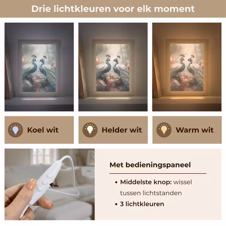 Pauwen - Pauwenveren - Vogels - Bloemen - Natuur Light Box met kabel (Tafellamp) klein -USP_lichtkleurNL