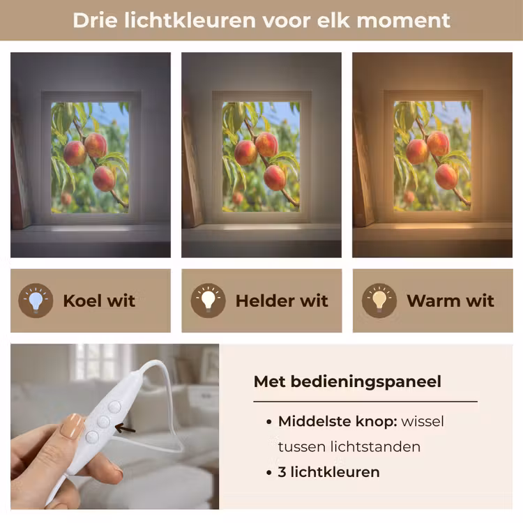 Perzik - Bladeren - Zonlicht Light Box met kabel (Tafellamp) klein -USP_lichtkleurNL