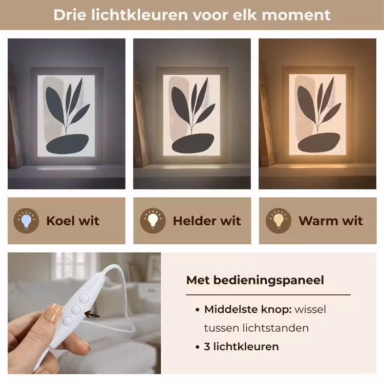 Plant - Beige - Japandi Light Box met kabel (Tafellamp) klein -USP_lichtkleurNL