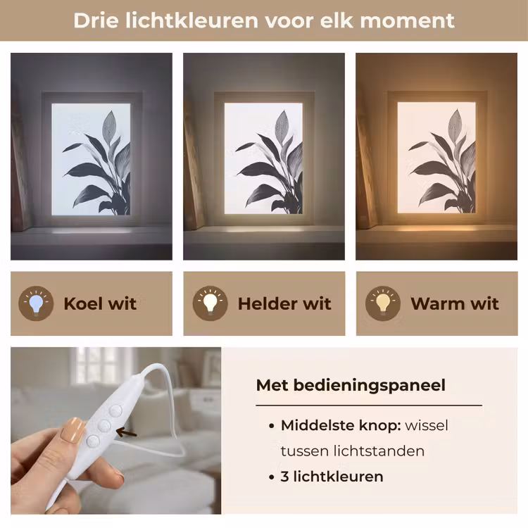 Plant - Bladeren - Minimalistisch - Zwart Light Box met kabel (Tafellamp) klein -USP_lichtkleurNL