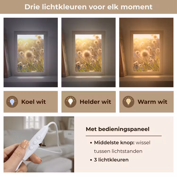 Planten - Natuur - Bloemen - Zon - Horizon Light Box met kabel (Tafellamp) klein -USP_lichtkleurNL