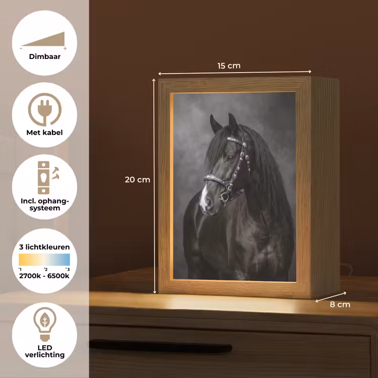 Portret - Paard - Zwart Light Box met kabel (Tafellamp) klein -USP_NL