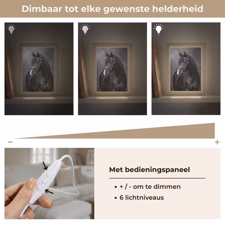 Portret - Paard - Zwart Light Box met kabel (Tafellamp) klein -USP_dimbaarNL