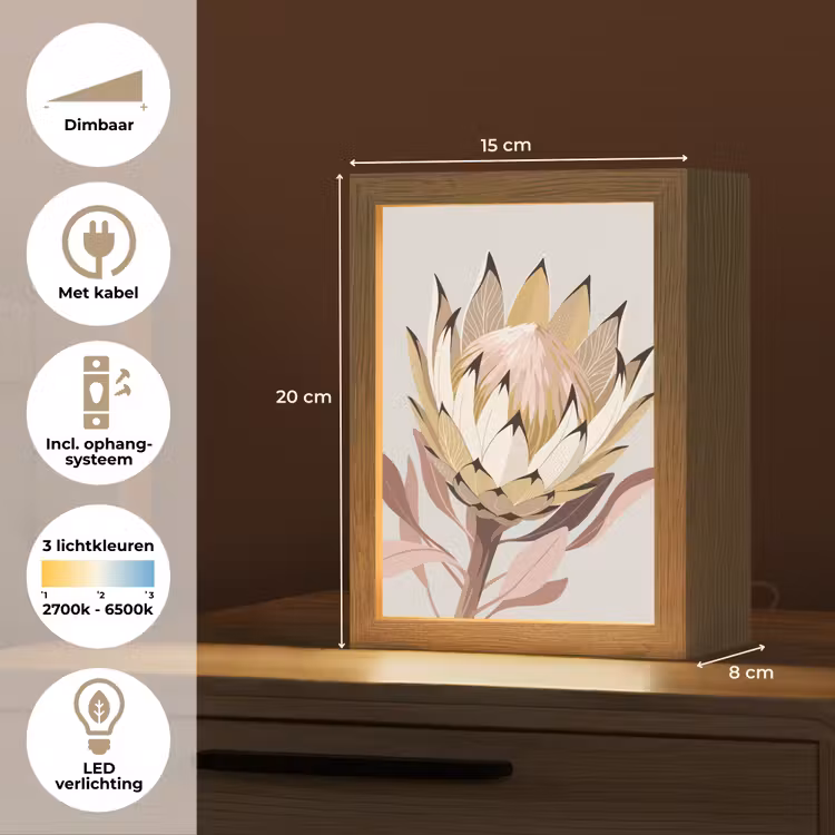 Protea - Bloem - Botanisch - Beige Light Box met kabel (Tafellamp) klein -USP_NL