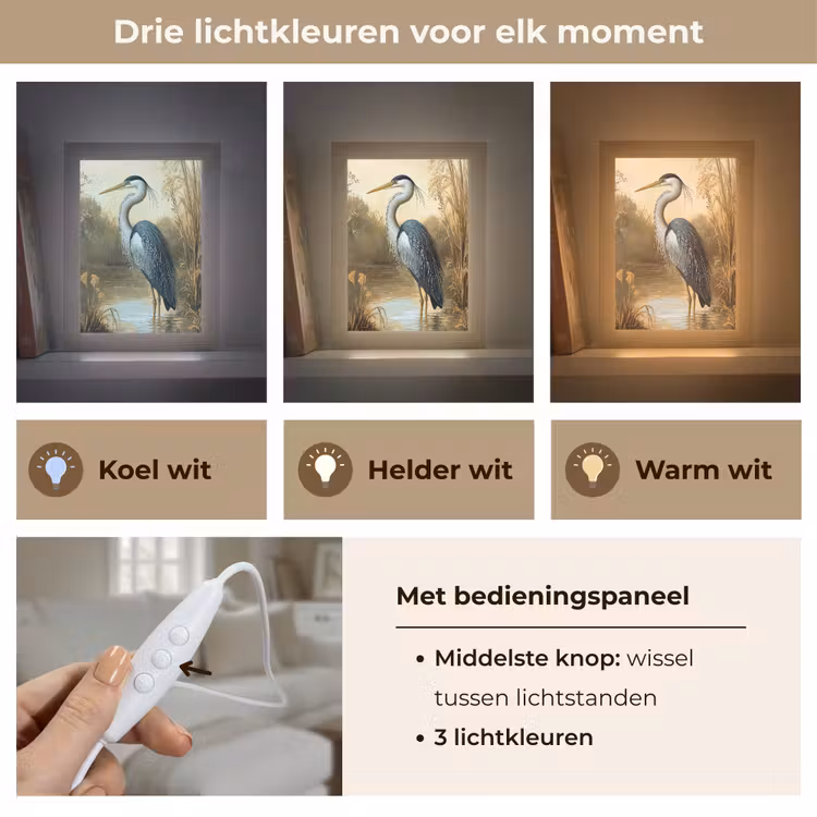 Reiger - Water - Planten Light Box met kabel (Tafellamp) klein -USP_lichtkleurNL