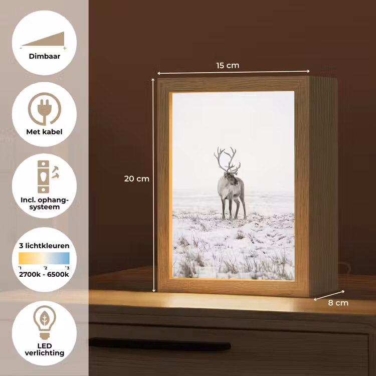 Rendier - Gewei - Sneeuw - Winter Light Box met kabel (Tafellamp) klein -USP_NL