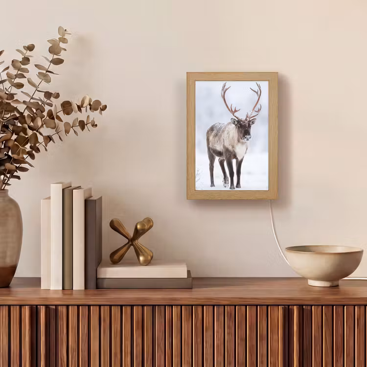 Rendier - Gewei - Toendra - Sneeuw - Wild Light Box met kabel (Tafellamp) klein -sfeer2