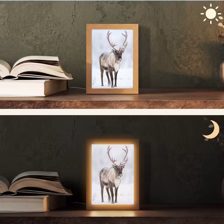 Rendier - Gewei - Toendra - Sneeuw - Wild Light Box met kabel (Tafellamp) klein -sfeer3