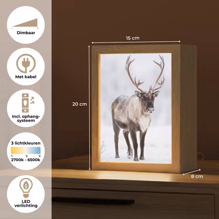Rendier - Gewei - Toendra - Sneeuw - Wild Light Box met kabel (Tafellamp) klein -USP_NL
