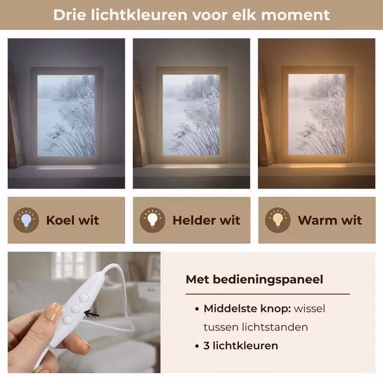 Riet - Bevroren - Winter - Natuur Light Box met kabel (Tafellamp) klein -USP_lichtkleurNL