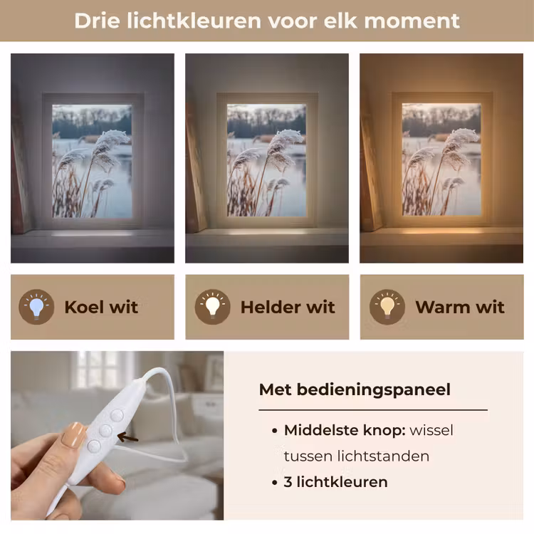 Riet - Gras - Natuur - Winter - Meer Light Box met kabel (Tafellamp) klein -USP_lichtkleurNL