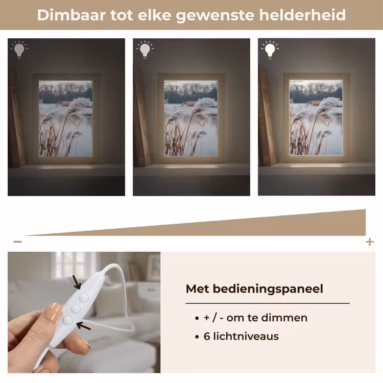 Riet - Gras - Natuur - Winter - Meer Light Box met kabel (Tafellamp) klein -USP_dimbaarNL
