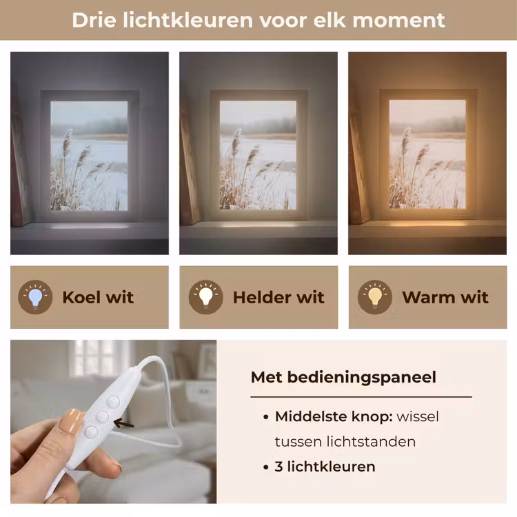 Riet - Meer - Winter - Natuur - Sneeuw - Beige Light Box met kabel (Tafellamp) klein -USP_lichtkleurNL