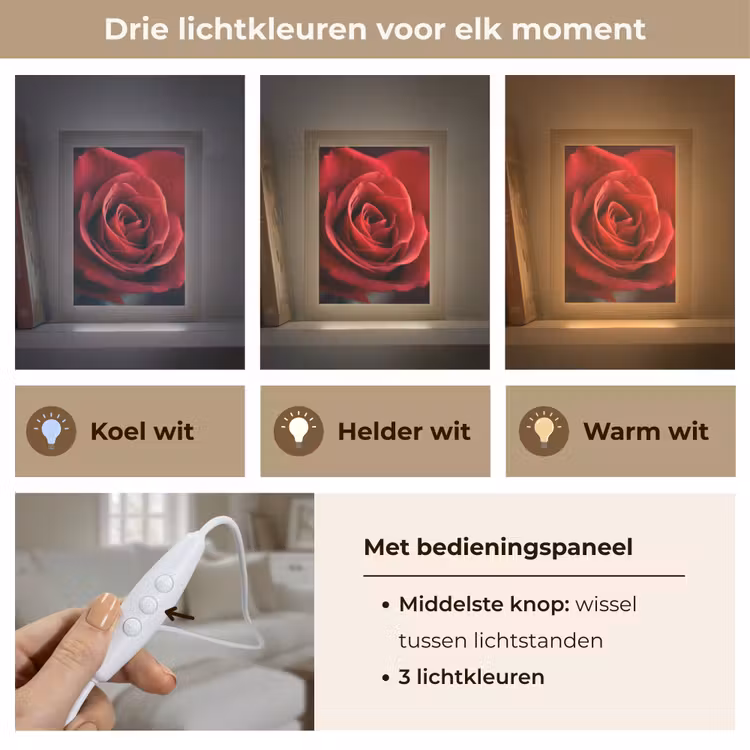 Rood - Roos - Romantisch Light Box met kabel (Tafellamp) klein -USP_lichtkleurNL