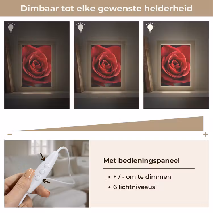 Rood - Roos - Romantisch Light Box met kabel (Tafellamp) klein -USP_dimbaarNL