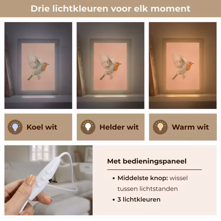 Roodborst - Natuur - Roze Light Box met kabel (Tafellamp) klein -USP_lichtkleurNL