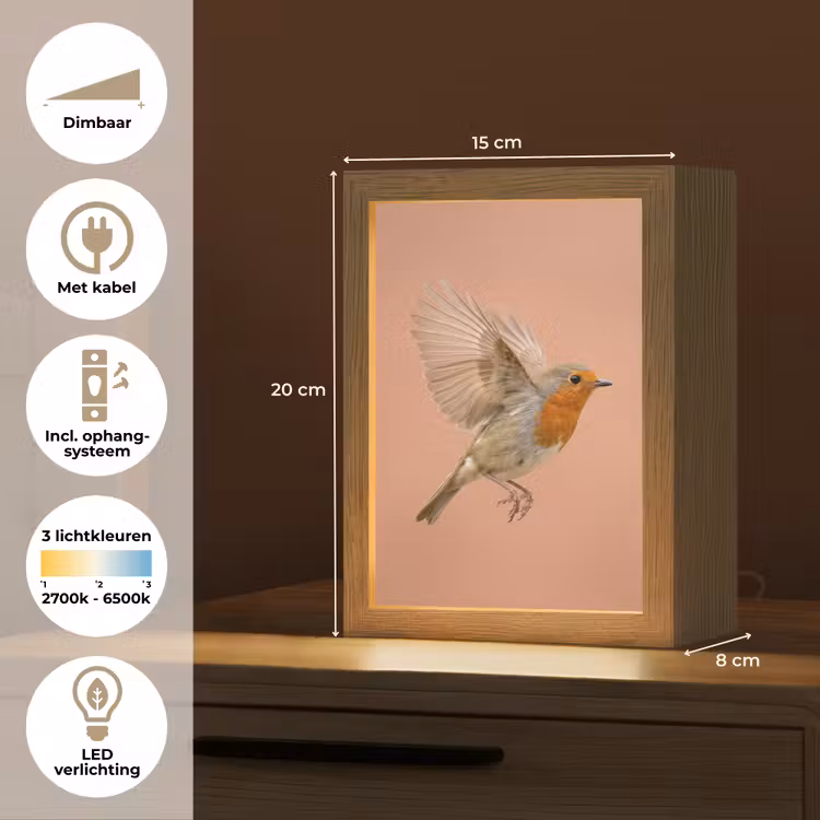 Roodborst - Natuur - Roze Light Box met kabel (Tafellamp) klein -USP_NL