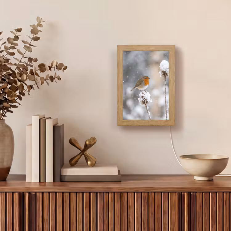Roodborstje - Gedroogde bloem - Sneeuw - Winter - Vertederend Light Box met kabel (Tafellamp) klein -sfeer2