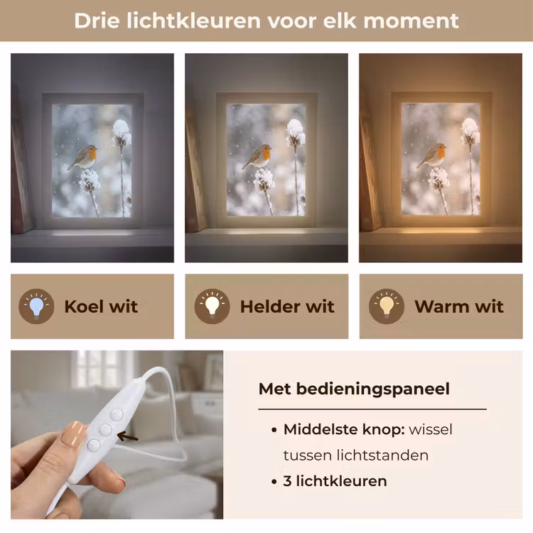 Roodborstje - Gedroogde bloem - Sneeuw - Winter - Vertederend Light Box met kabel (Tafellamp) klein -USP_lichtkleurNL