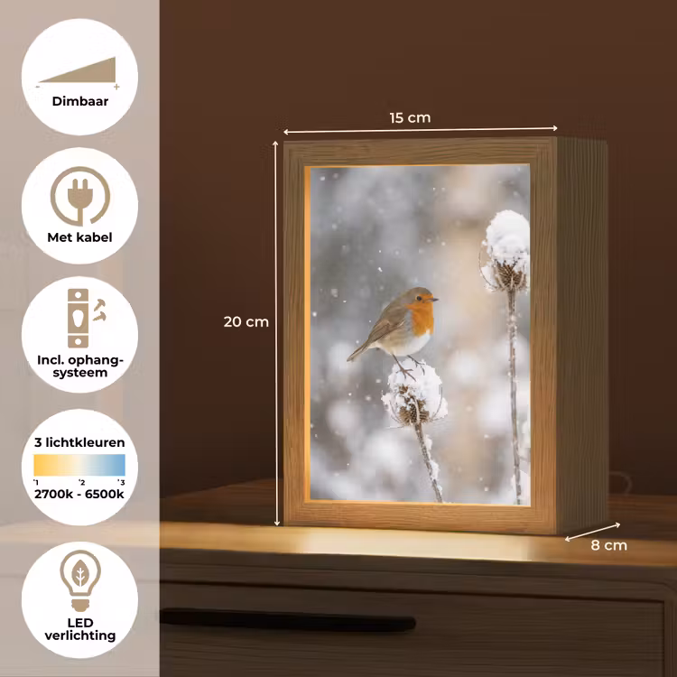 Roodborstje - Gedroogde bloem - Sneeuw - Winter - Vertederend Light Box met kabel (Tafellamp) klein -USP_NL