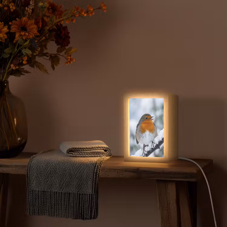 Roodborstje - Tak - Sneeuw - Winter - Levendig Light Box met kabel (Tafellamp) klein -sfeer4