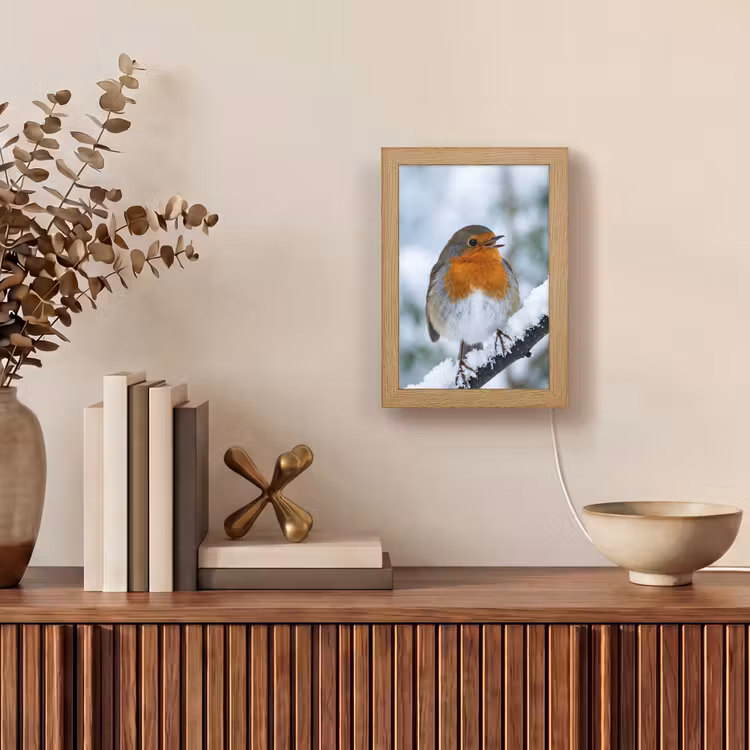 Roodborstje - Tak - Sneeuw - Winter - Levendig Light Box met kabel (Tafellamp) klein -sfeer2