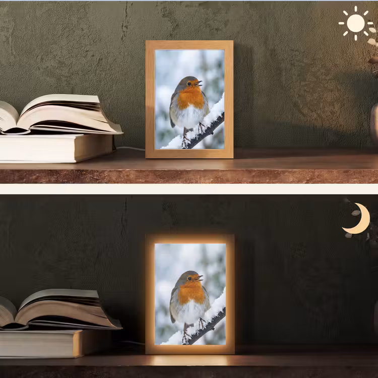 Roodborstje - Tak - Sneeuw - Winter - Levendig Light Box met kabel (Tafellamp) klein -sfeer3