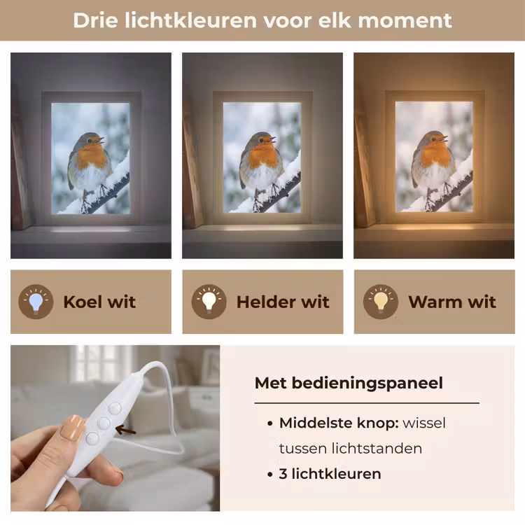 Roodborstje - Tak - Sneeuw - Winter - Levendig Light Box met kabel (Tafellamp) klein -USP_lichtkleurNL