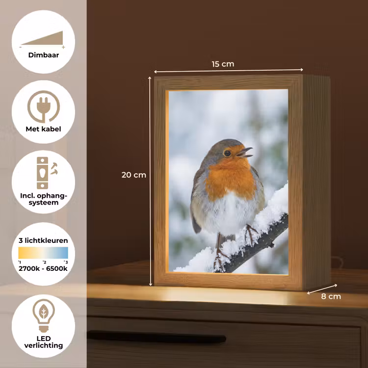 Roodborstje - Tak - Sneeuw - Winter - Levendig Light Box met kabel (Tafellamp) klein -USP_NL