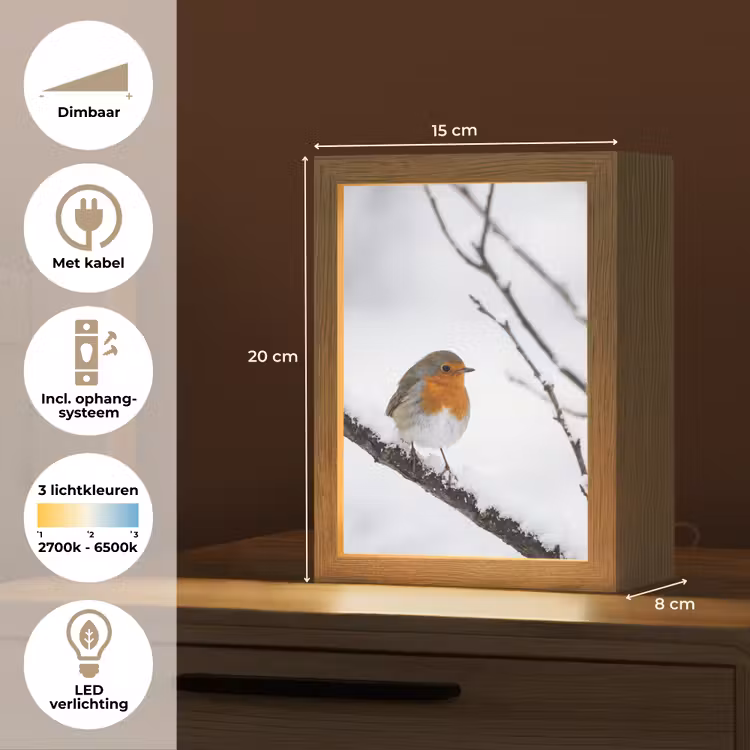 Roodborstje - Tak - Sneeuw - Winter - Levendig Light Box met kabel (Tafellamp) klein -USP_NL